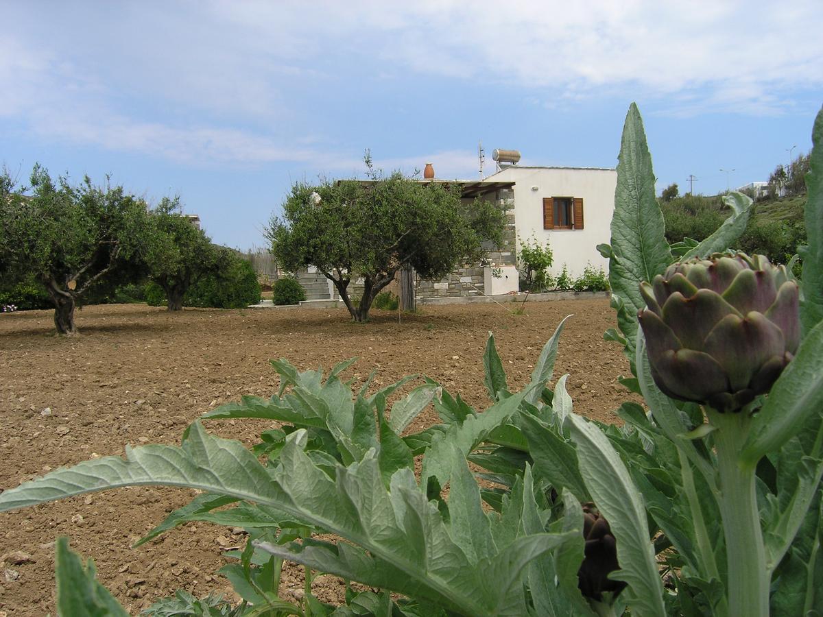 Marcello Country Houses ปาริเกีย ภายนอก รูปภาพ